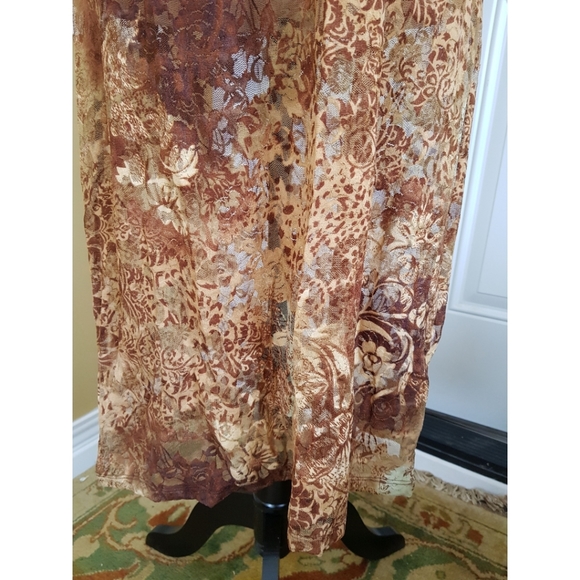 LM Lingerie Sears Sheer Nightgown - Picture 6 of 15